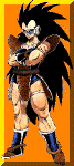 raditz.gif (16656 bytes)